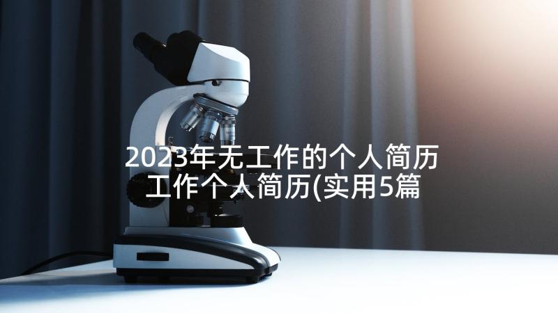 2023年无工作的个人简历 工作个人简历(实用5篇)