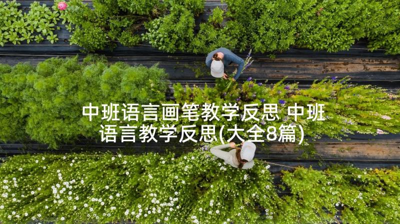 中班语言画笔教学反思 中班语言教学反思(大全8篇)