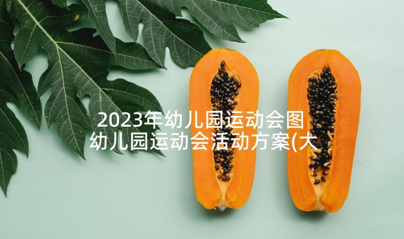 2023年幼儿园运动会图 幼儿园运动会活动方案(大全5篇)