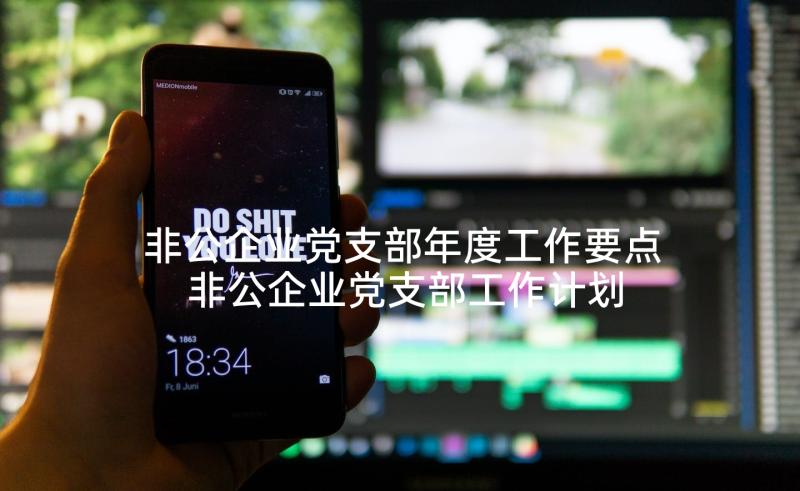 非公企业党支部年度工作要点 非公企业党支部工作计划(通用5篇)