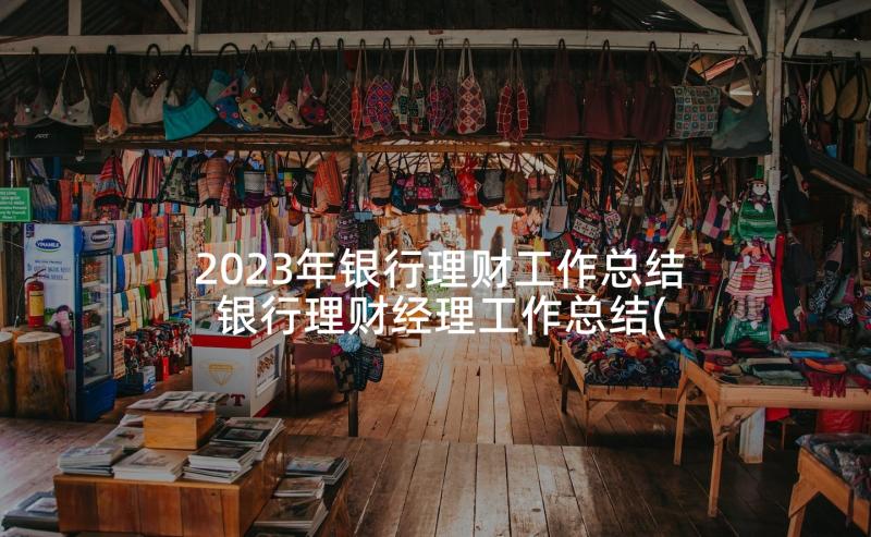 2023年银行理财工作总结 银行理财经理工作总结(大全5篇)