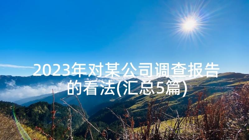 2023年对某公司调查报告的看法(汇总5篇)