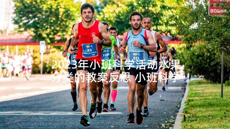 2023年小班科学活动水果分类的教案反思 小班科学活动教案水果宝宝(实用5篇)