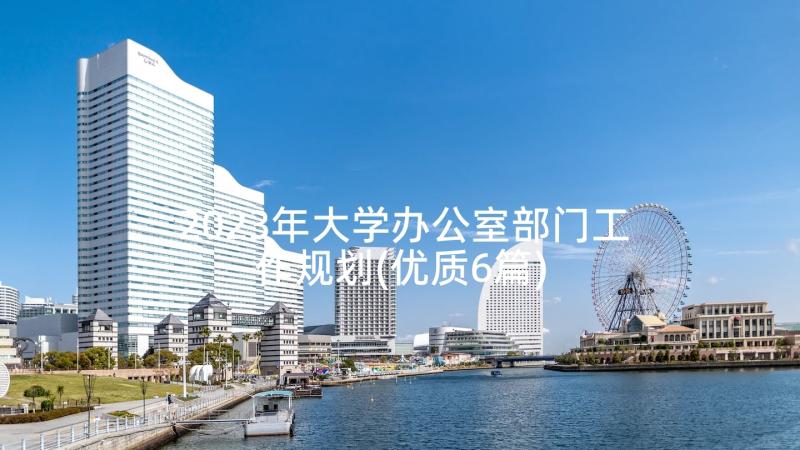 2023年大学办公室部门工作规划(优质6篇)