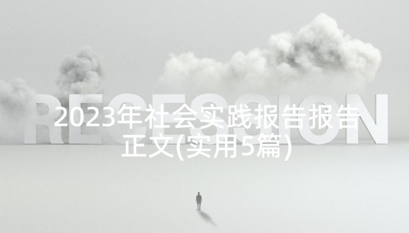 2023年社会实践报告报告正文(实用5篇)