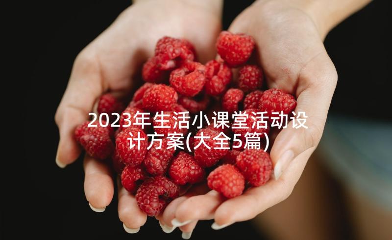 2023年生活小课堂活动设计方案(大全5篇)