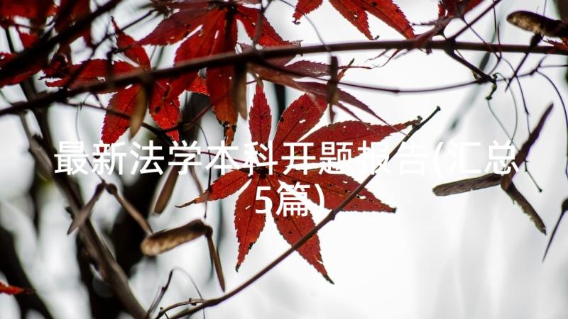 最新法学本科开题报告(汇总5篇)