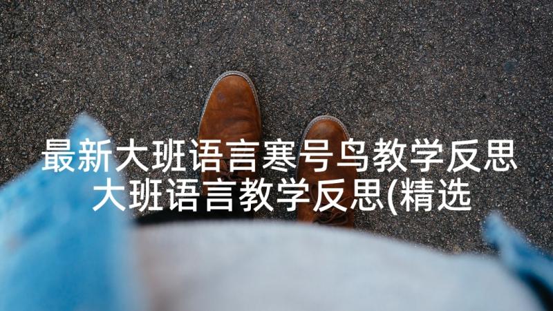 最新大班语言寒号鸟教学反思 大班语言教学反思(精选5篇)