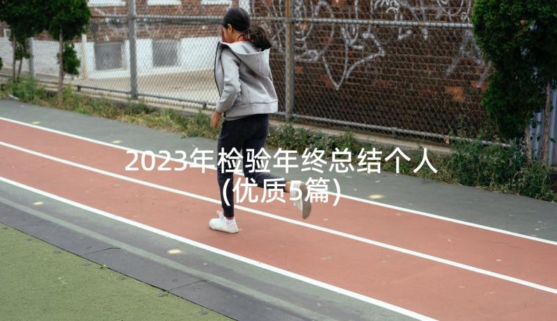 2023年检验年终总结个人(优质5篇)