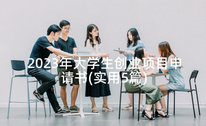 2023年大学生创业项目申请书(实用5篇)