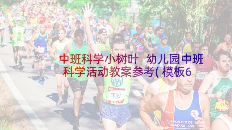 中班科学小树叶 幼儿园中班科学活动教案参考(模板6篇)