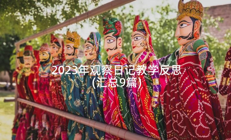 2023年观察日记教学反思(汇总9篇)