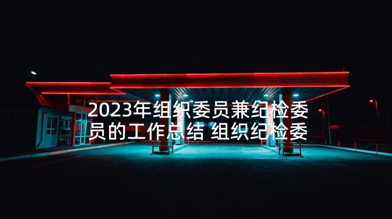 2023年组织委员兼纪检委员的工作总结 组织纪检委员工作总结(实用5篇)