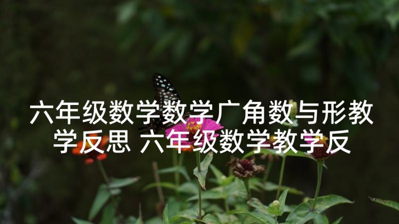 六年级数学数学广角数与形教学反思 六年级数学教学反思(优质7篇)