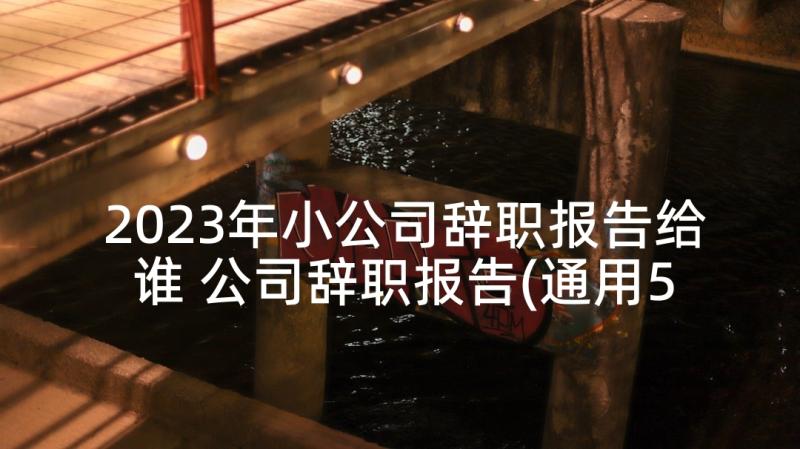 2023年小公司辞职报告给谁 公司辞职报告(通用5篇)