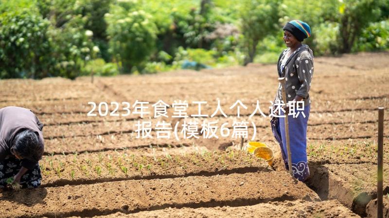 2023年食堂工人个人述职报告(模板6篇)