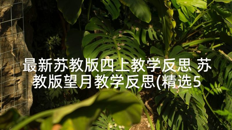 最新苏教版四上教学反思 苏教版望月教学反思(精选5篇)