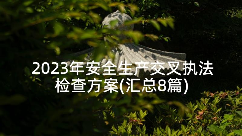 2023年安全生产交叉执法检查方案(汇总8篇)