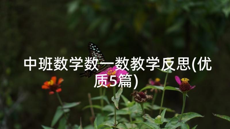 中班数学数一数教学反思(优质5篇)