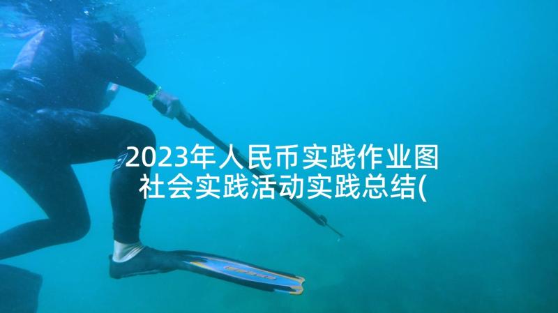 2023年人民币实践作业图 社会实践活动实践总结(通用9篇)