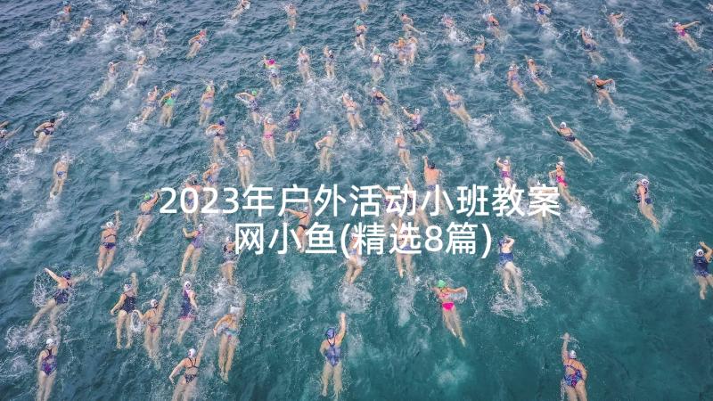 2023年户外活动小班教案网小鱼(精选8篇)