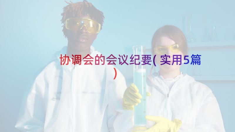 协调会的会议纪要(实用5篇)