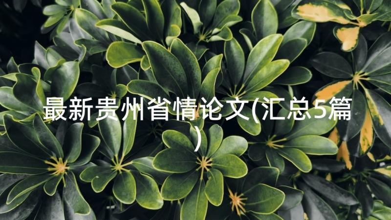 最新贵州省情论文(汇总5篇)