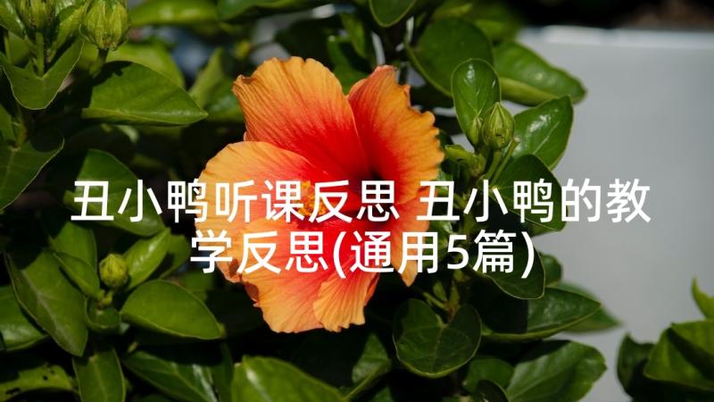 丑小鸭听课反思 丑小鸭的教学反思(通用5篇)