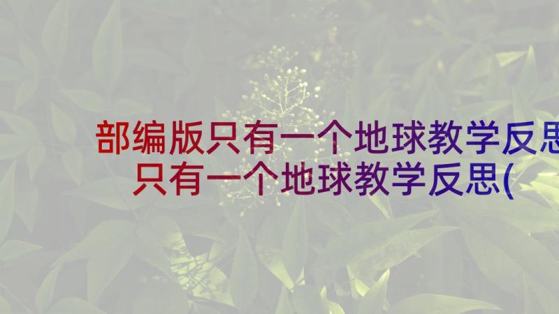 部编版只有一个地球教学反思 只有一个地球教学反思(精选8篇)