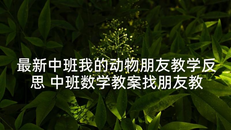 最新中班我的动物朋友教学反思 中班数学教案找朋友教案及教学反思(汇总9篇)