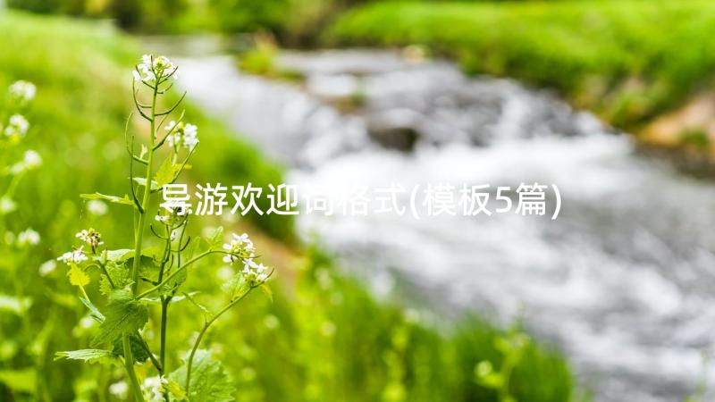 导游欢迎词格式(模板5篇)