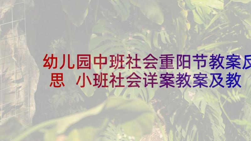 幼儿园中班社会重阳节教案反思 小班社会详案教案及教学反思购物(精选7篇)