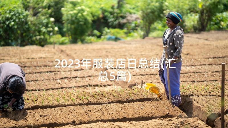 2023年服装店日总结(汇总5篇)