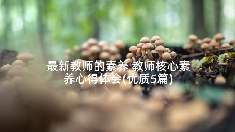 最新教师的素养 教师核心素养心得体会(优质5篇)