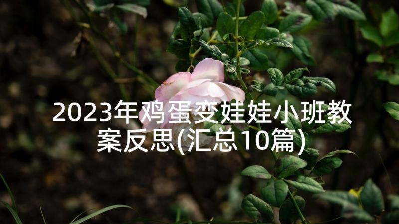 2023年鸡蛋变娃娃小班教案反思(汇总10篇)