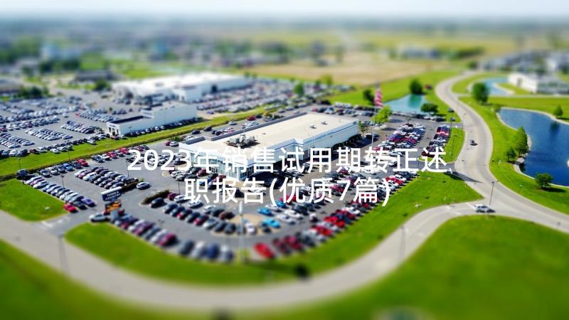 2023年销售试用期转正述职报告(优质7篇)