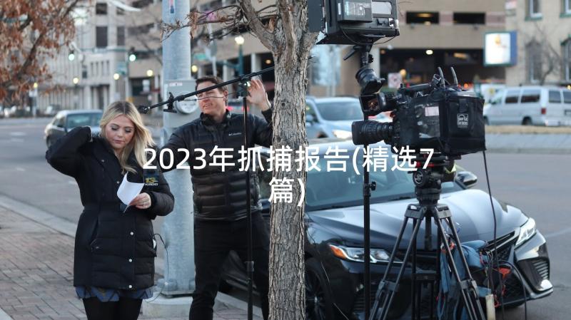 2023年抓捕报告(精选7篇)