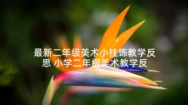 最新二年级美术小挂饰教学反思 小学二年级美术教学反思(精选5篇)