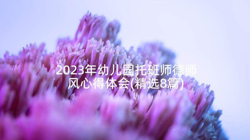 2023年幼儿园托班师德师风心得体会(精选8篇)