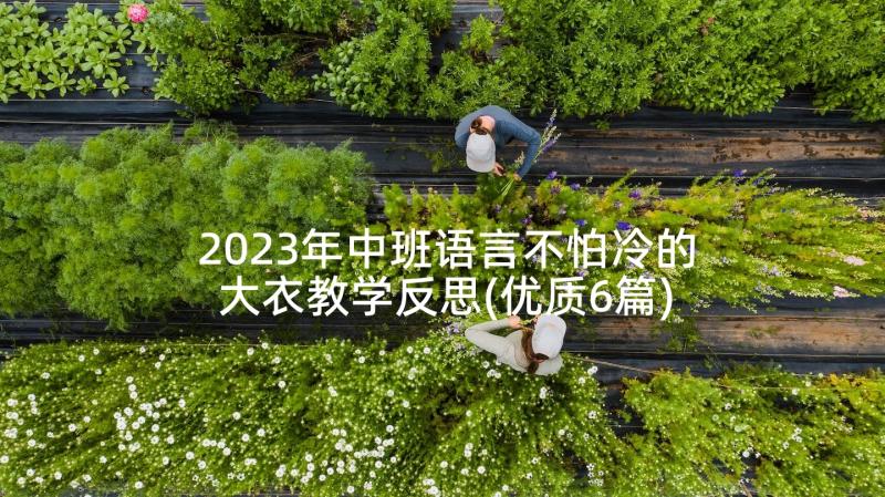 2023年中班语言不怕冷的大衣教学反思(优质6篇)