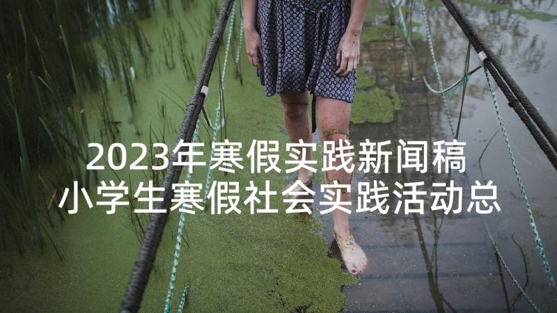 2023年寒假实践新闻稿 小学生寒假社会实践活动总结(大全5篇)