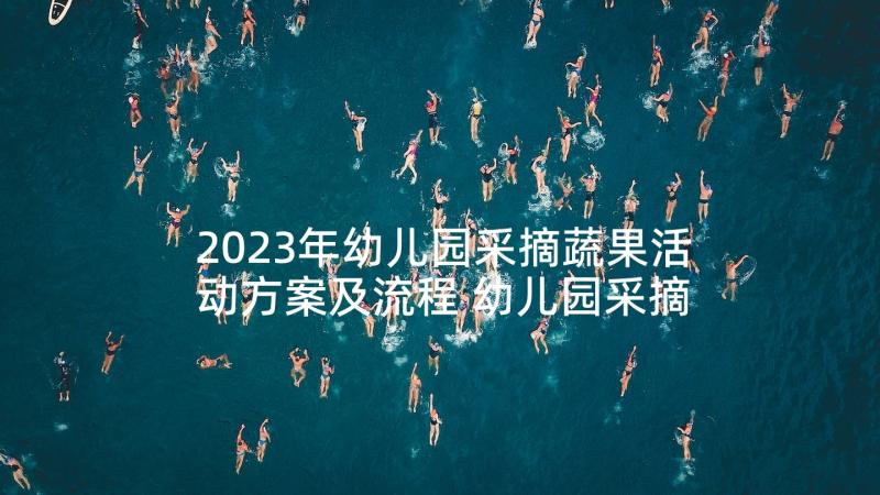 2023年幼儿园采摘蔬果活动方案及流程 幼儿园采摘活动方案(精选5篇)