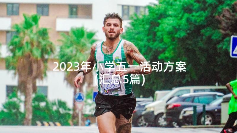 2023年小学五一活动方案(汇总5篇)