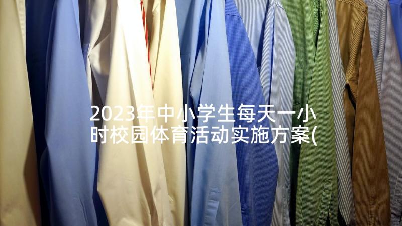 2023年中小学生每天一小时校园体育活动实施方案(大全5篇)