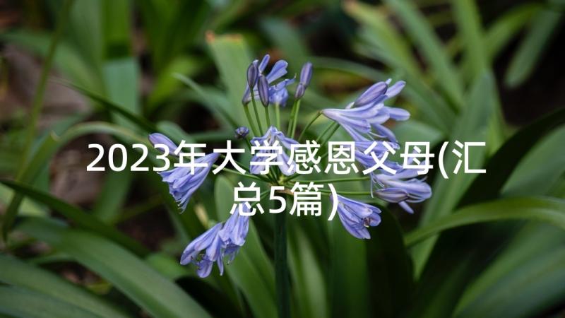 2023年大学感恩父母(汇总5篇)