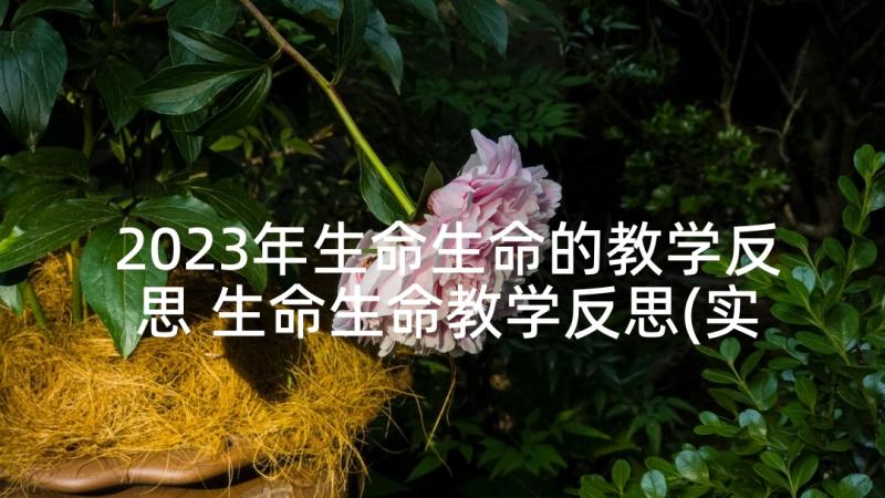 2023年生命生命的教学反思 生命生命教学反思(实用9篇)