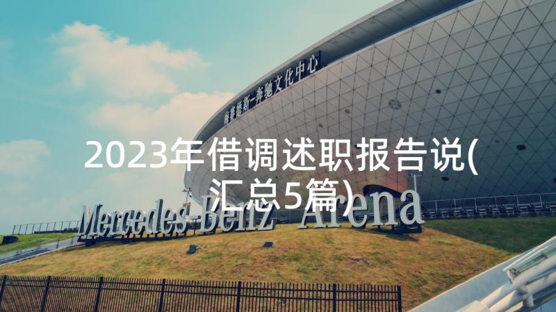 2023年借调述职报告说(汇总5篇)