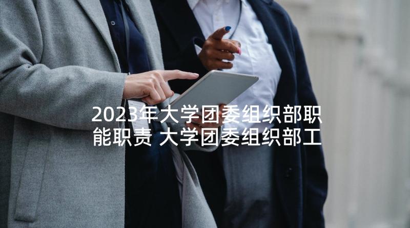 2023年大学团委组织部职能职责 大学团委组织部工作计划(汇总5篇)