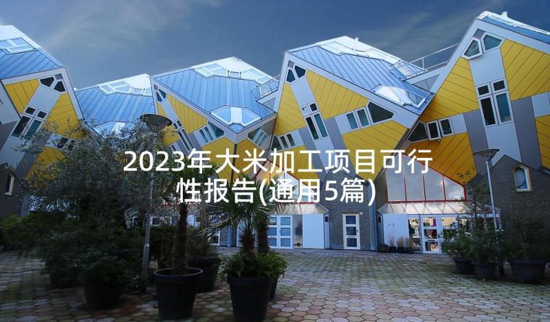 2023年大米加工项目可行性报告(通用5篇)