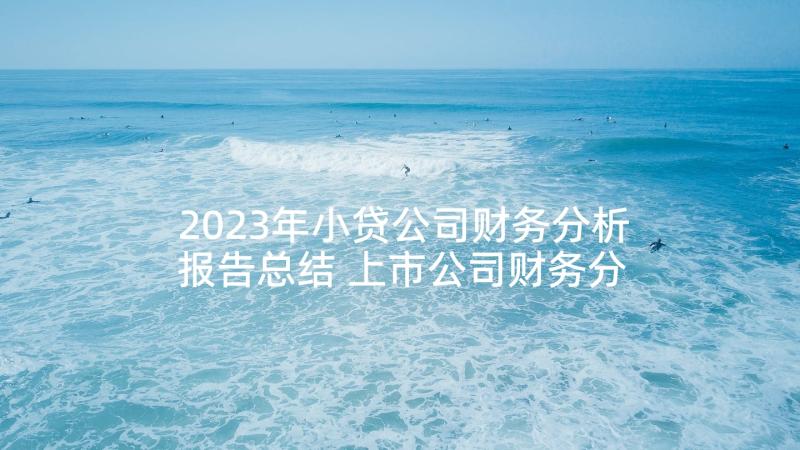 2023年小贷公司财务分析报告总结 上市公司财务分析报告(实用9篇)